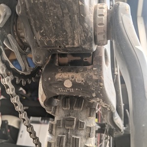 2017 Santa Cruz 5010 CC Black and Yellow or Gold