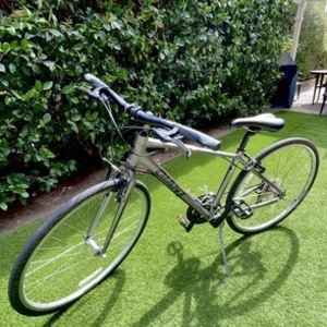 2013 Giant Escape 2 Silver, gray or bare metal