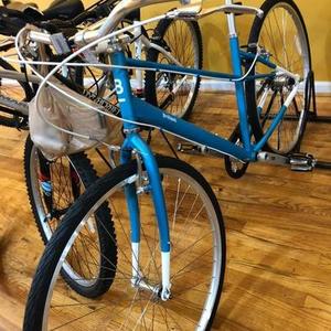 Brilliant Bicycle Carmen Teal