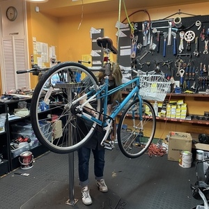 Brilliant Bicycle Carmen Teal