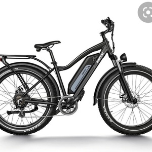 2019 Himiway Fat Tire Black