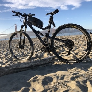 2014 Santana Cycles Tallboy Silver, gray or bare metal