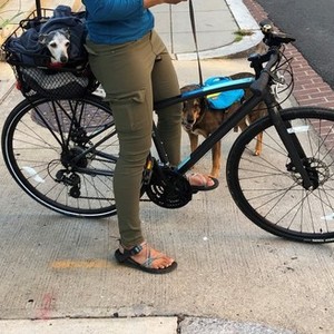 2018 Raleigh black Black and Teal