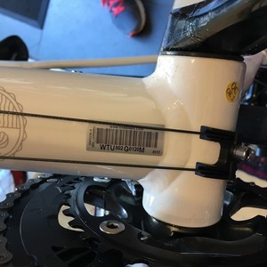 2018 Trek Domane White