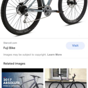 2017 Fuji 2.1 Silver, gray or bare metal
