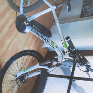 2019 Bosch 48" White and Green