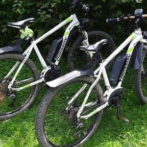 2019 Bosch 48" White and Green