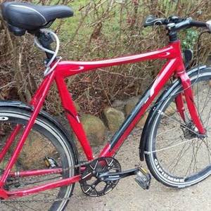 Batavus 180 cm Red