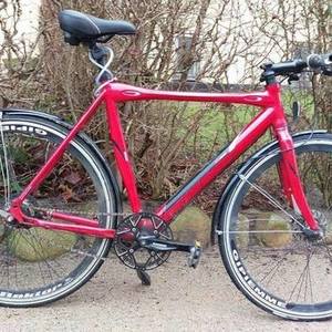 Batavus 180 cm Red