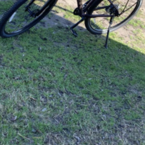 2021 Trek Marlin Purple