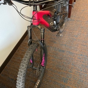 2020 Salsa Rustler SLX Black and Pink