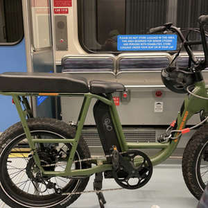 2020 Rad Power Bikes RadRunner 4 Utility Bike with Passen... Green