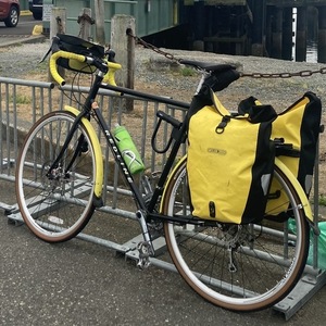 Redline Metro Classic Black and Yellow or Gold