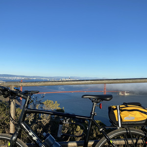 2016 Trek Allant 7.4 Hybrid Black