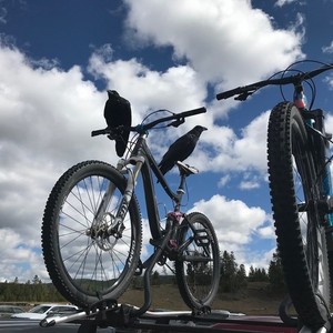 2012 Giant 2012 Trance X2 W Black