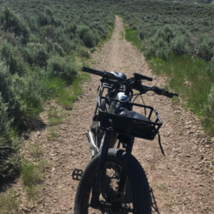 2020 BIKTRIX Ultra Beast Silver, gray or bare metal