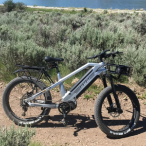 2020 BIKTRIX Ultra Beast Silver, gray or bare metal