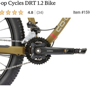 2020 REI Co op Mountain Bike DRT 1.2 Brown and Green