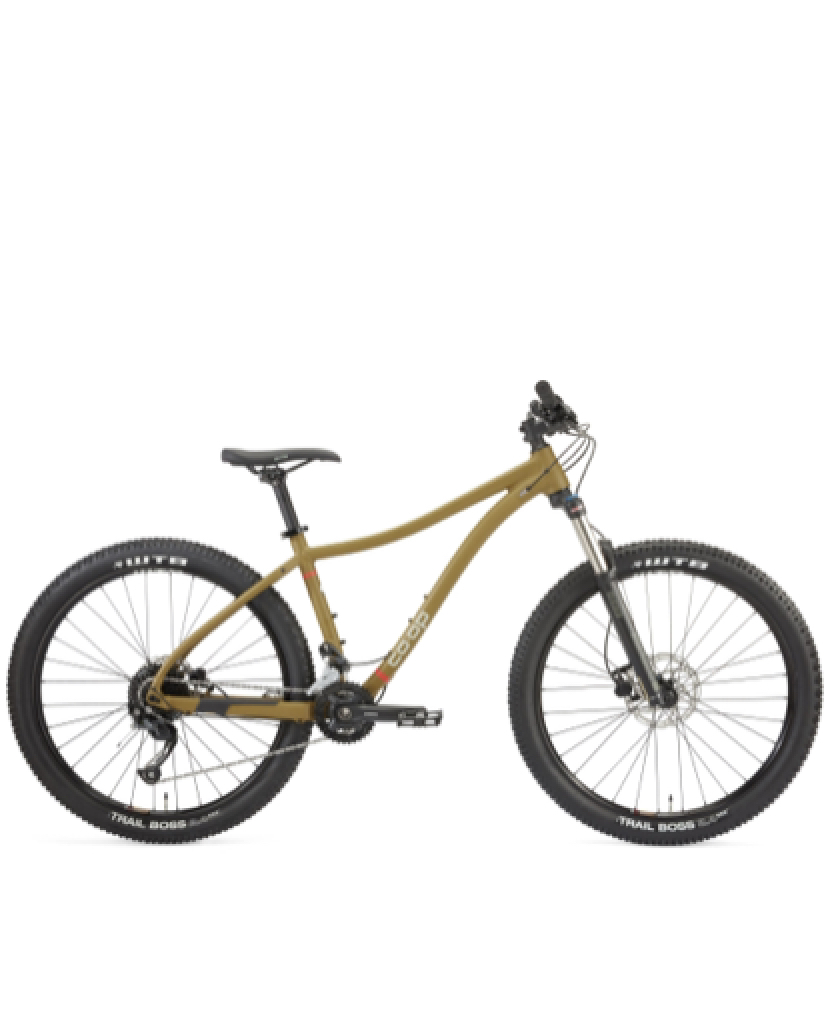 Stolen 2020 REI Co op Mountain Bike DRT 1.2