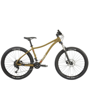 2020 REI Co op Mountain Bike DRT 1.2 Brown and Green