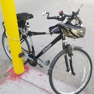 Schwinn Discover Black