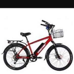 2019 X-Treme Cruiser Red