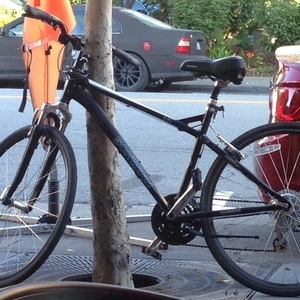 Schwinn Mica 2.0 Black