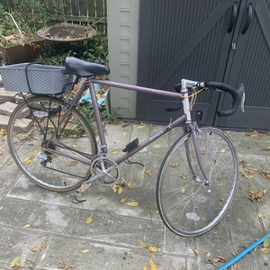 Raleigh Technium Purple