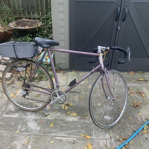 Raleigh Technium Purple