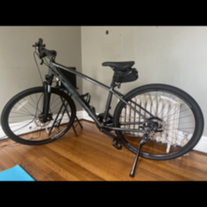 2020 Trek Dual Sport Silver, gray or bare metal