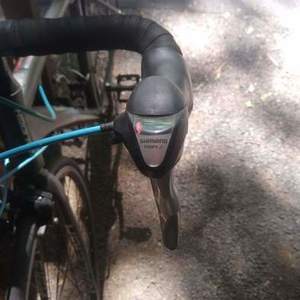 Raleigh Silver, gray or bare metal, Black, and Blue