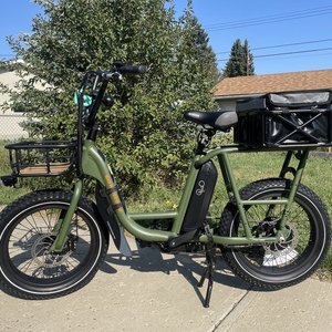 2020 Rad Power Bikes RadRunner E-Bike Green