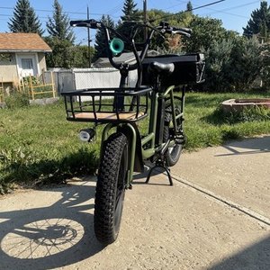 2020 Rad Power Bikes RadRunner E-Bike Green