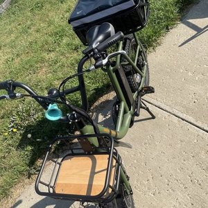 2020 Rad Power Bikes RadRunner E-Bike Green