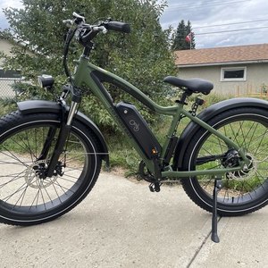 2020 Rad Power Bikes RadRover HS LE Green