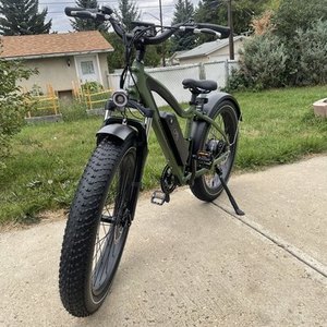 2020 Rad Power Bikes RadRover HS LE Green