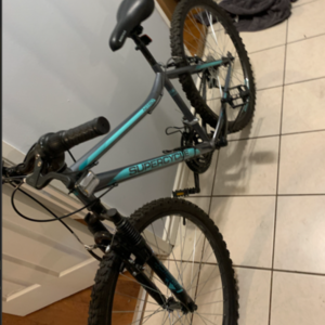 2019 Supercycle Geometric Mountain Bike Silver, gray or bare metal and Stickers tape or other cov...