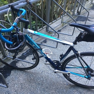 2009 Trek 2.1 Blue