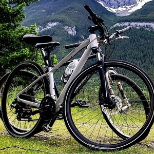 Specialized Ariel White