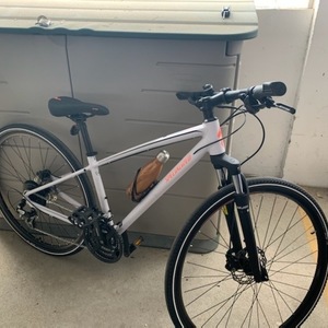 Specialized Ariel White