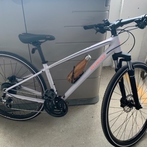 Specialized Ariel White