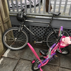 Norco Bikes Bushpilot Black