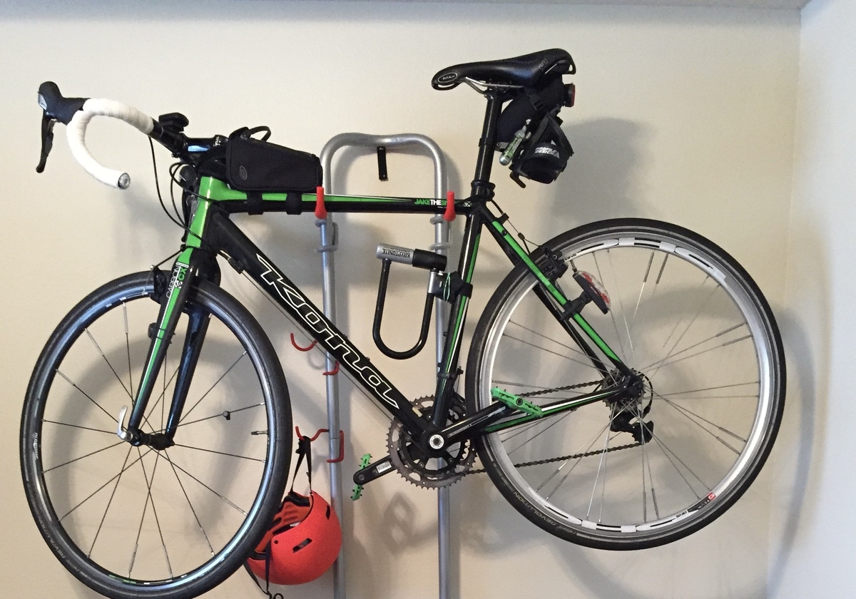 kona jake the snake 2010