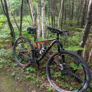 2018 Giant Anthem Black and Orange