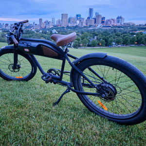 2017 Custom Black and Brown