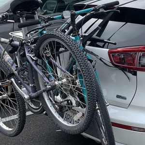 Specialized Rockhopper A1 FS Purple