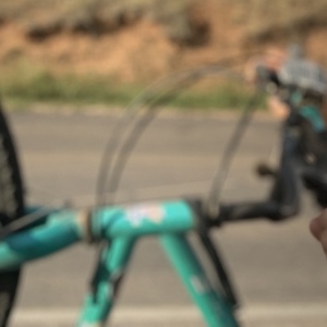 Nishiki Backroads Teal