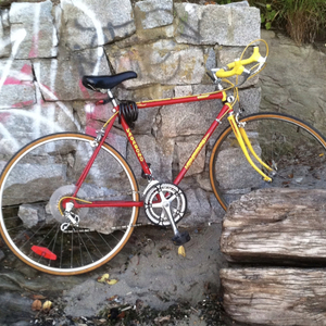 Vagabond 12 speed road bike Red and Yellow or Gold