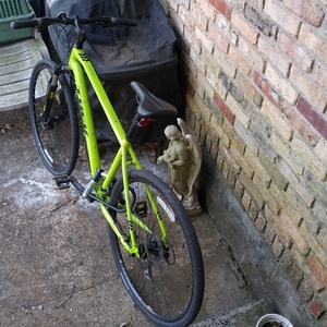 2015 Trek 8.3 DS Green and Black