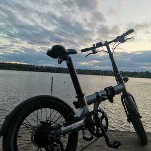 2020 Qualisports Foldable E bike Silver, gray or bare metal